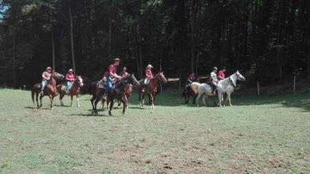 Knobleharjeva konjenica 2